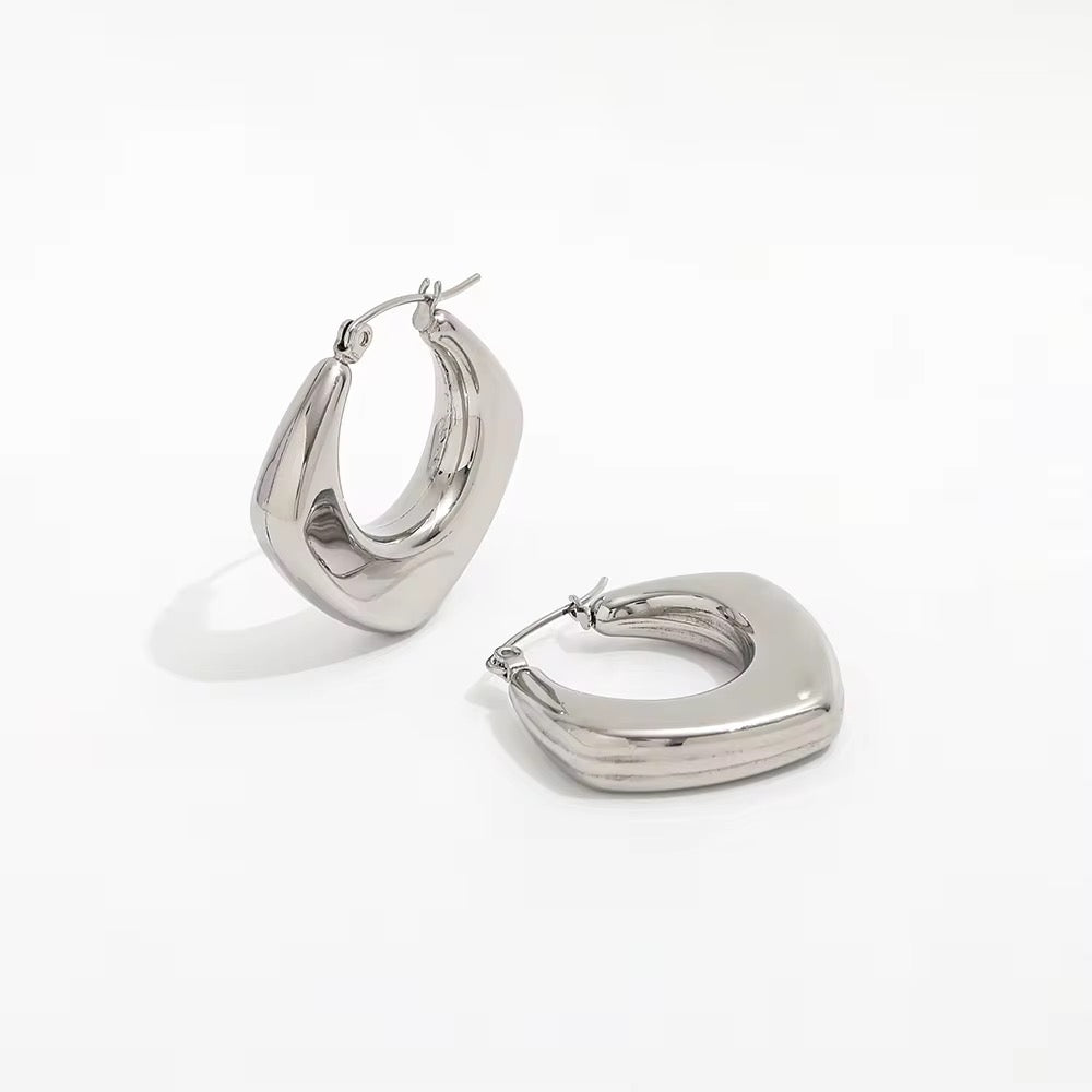 Hypoallergenic Hollowed earrings Silver color