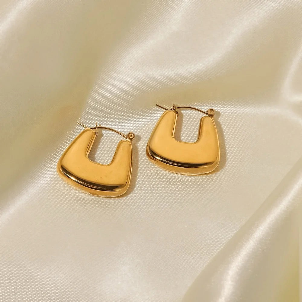 Hollowed Earrings M107024009